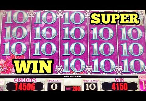 ***GOOD BONUS SESSION*** DUCK IN A ROW Slot Machine BIG WIN | Unexpected PATHETIC NEIGHBOR DIALOGUE