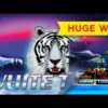 White Tiger Slot – INCREDIBLE SESSION, HUGE WIN – $5 Max Bets!