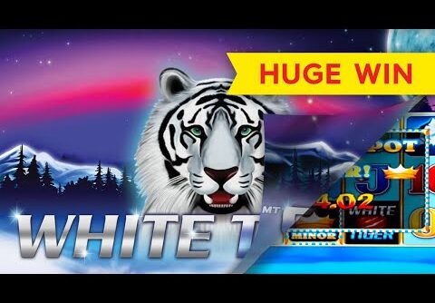 White Tiger Slot – INCREDIBLE SESSION, HUGE WIN – $5 Max Bets!