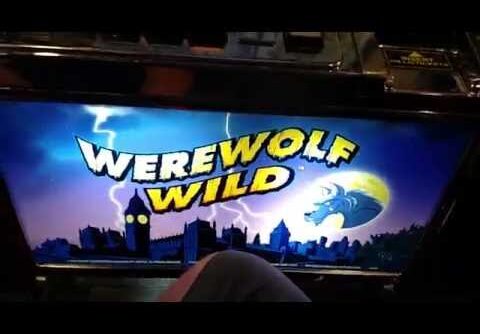 VERY BIG WIN! $5 Max Bet Werewolf Wild Aristocrat Pokie slot machine free spins