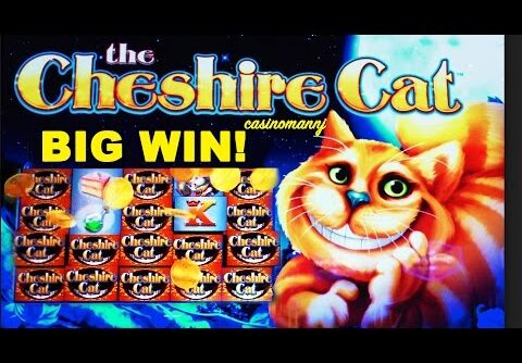 THE CHESHIRE CAT Slot – BIG WIN! – Slot Machine Bonus