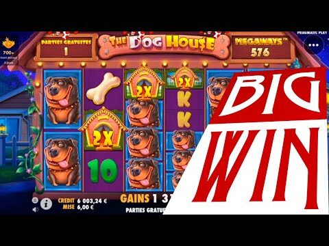 The DOG HOUSE megaways slot Biggest win | Best wins of the week online casino