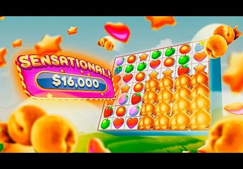 INCREDIBLE FRUIT PARTY BONUS!!! (BIG WIN) – TCK Slot Highlights