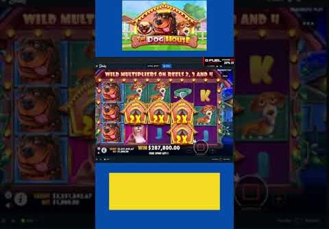 Online Slots Big Wins #shorts #money #megaways