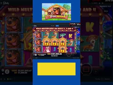 Online Slots Big Wins #shorts #money #megaways