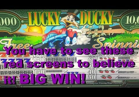 BIG, BIG WIN!! Red screens x 17 in a row! Lucky Ducky Free Spinnin