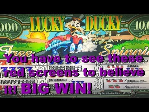 BIG, BIG WIN!! Red screens x 17 in a row! Lucky Ducky Free Spinnin
