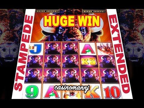 🐂 HUGE WIN 🐂  | BUFFALO STAMPEDE SLOT | STAMPEDE EXTENDED ENCORE! – Slot Machine Bonus