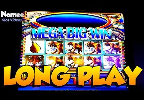 Sabertooth Slot Machine – Long Play and “Mega Big Win”