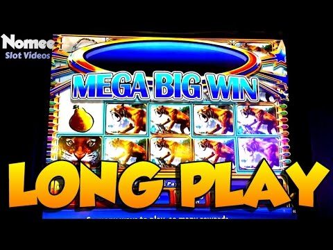 Sabertooth Slot Machine – Long Play and “Mega Big Win”