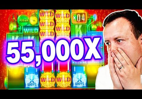 WORLD RECORD SLOT WIN (55,000X)