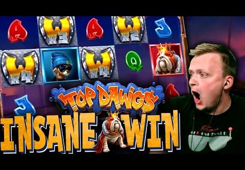 RECORD BIG WIN on Top Dawgs Slot! (Suddenly pays MASSIVE)
