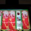 Ruby Slippers Max Bet Slot Machine Bonus GLENDA HUGE WIN