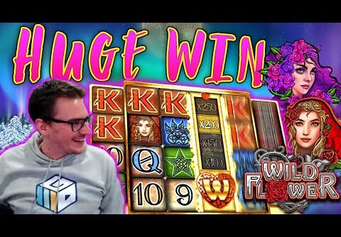 HUGE WIN on Wild Flower Slot – Â£8 Bet!