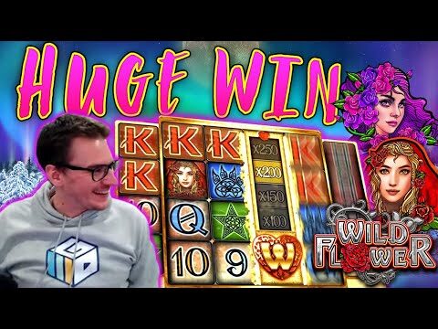 HUGE WIN on Wild Flower Slot – £8 Bet!