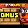 THE DOG HOUSE 🐶 SLOT BONUS HUNT MEGA BIG WIN COMEBACK 😱 SO MANY STICKY WILDS OMG‼️