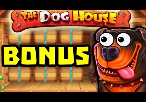 THE DOG HOUSE 🐶 SLOT BONUS HUNT MEGA BIG WIN COMEBACK 😱 SO MANY STICKY WILDS OMG‼️