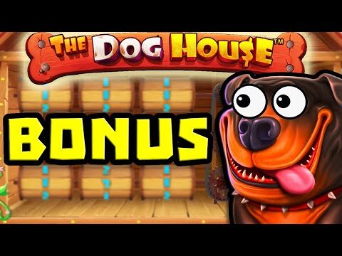 THE DOG HOUSE 🐶 SLOT BONUS HUNT MEGA BIG WIN COMEBACK 😱 SO MANY STICKY WILDS OMG‼️