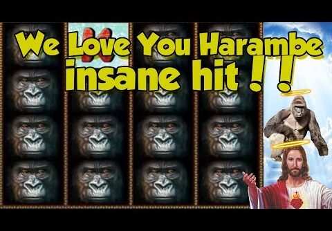 Online Slot – Gorilla Big Win and bonus round (Casino Slots) Huge win