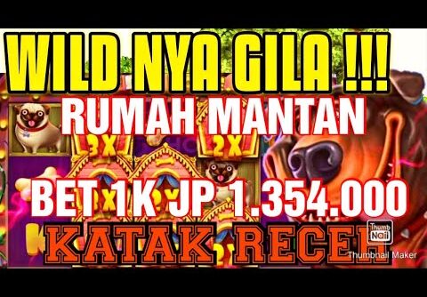 RUMAH MANTAN THE DOG HOUSE BET 1K JP JUTAAN!!!!!!! World Record Win on Dog House slot #THEDOGHOUSE