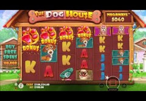 THE DOG   KÜÇÜK KASA BİG WİN   #slot #bigwin