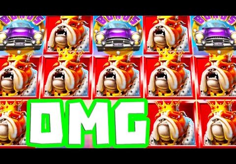 TOP DAWGS 🐶 SLOT BIG BONUS BUYS BIG WINS 🤯 I GOT THE FREE SPINS ON A €20 BET BIG MYSTERY WIN OMG‼️