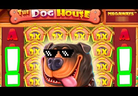 I BROKE THE DOG HOUSE MEGAWAYS 🐶 SLOT ULTRA MEGA BIG WINS 😱 €2.000 BONUS BUYS U HAVE TO SEE THIS‼️