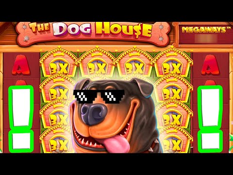 I BROKE THE DOG HOUSE MEGAWAYS 🐶 SLOT ULTRA MEGA BIG WINS 😱 €2.000 BONUS BUYS U HAVE TO SEE THIS‼️