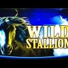 Wild Stallion Slot Bonus – Free Spins Huge Win!!