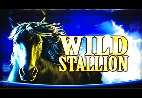 Wild Stallion Slot Bonus – Free Spins Huge Win!!