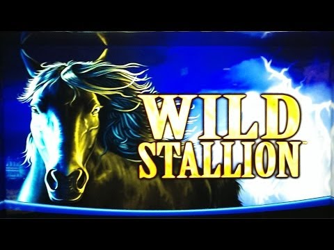 Wild Stallion Slot Bonus – Free Spins Huge Win!!
