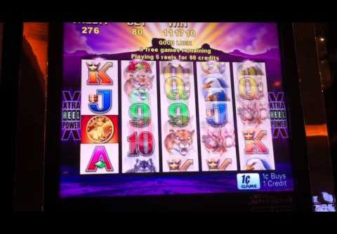 Aristocrat Buffalo MEGA Slot Win – Parx Casino – Bensalem, PA