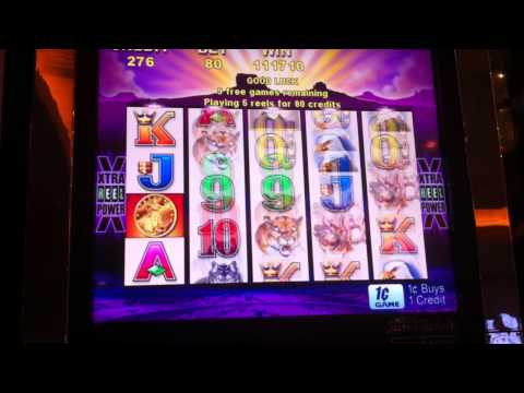 Aristocrat Buffalo MEGA Slot Win – Parx Casino – Bensalem, PA