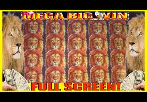 **FULL SCREEN!!!** HUGE BONUS WIN!!! King of Africa Slot Machine!!!
