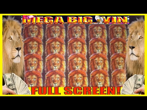 **FULL SCREEN!!!** HUGE BONUS WIN!!! King of Africa Slot Machine!!!