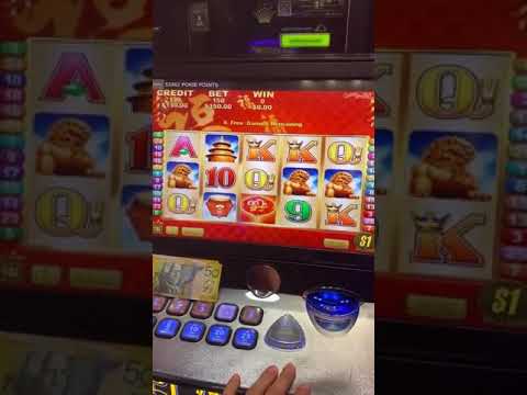 $250,000 LIVE Slot Win Biggest Win Ever!