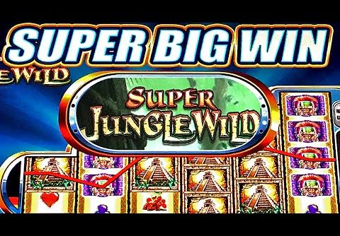 5¢ SUPER JUNGLE WILD SLOT MACHINE BONUS BIG WIN Wms Slots