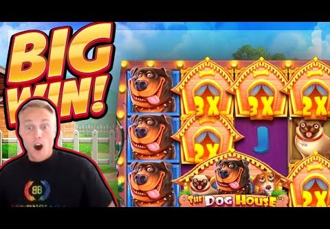 BIG WIN!!! Dog House BIG WIN!! Online Casino slot from CasinoDaddy Live Stream