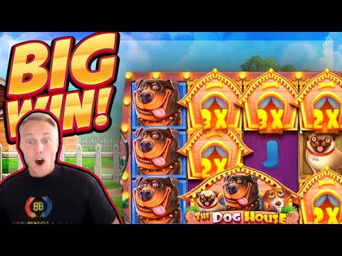 BIG WIN!!! Dog House BIG WIN!! Online Casino slot from CasinoDaddy Live Stream