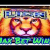 BIG WIN!! Ultra Stack Lion Slot Machine, Max Bet Bonuses, Full Screen Win!! Live Play! By Aruze
