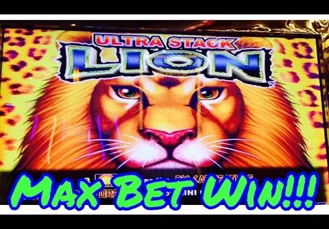 BIG WIN!! Ultra Stack Lion Slot Machine, Max Bet Bonuses, Full Screen Win!! Live Play! By Aruze