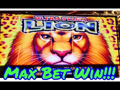 BIG WIN!! Ultra Stack Lion Slot Machine, Max Bet Bonuses, Full Screen Win!! Live Play! By Aruze