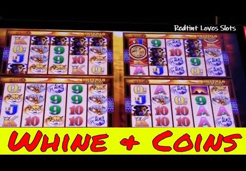 Buffalo 4 Coin Super Games💰Big Win – Redtint Loves Slots