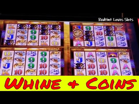 Buffalo 4 Coin Super Games💰Big Win – Redtint Loves Slots