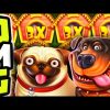 THE DOG HOUSE 🐶 SLOT MEGA BIG WIN 🤑 BONUS HUNT OPENING OMG MASSIVE PROFIT‼️