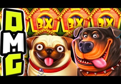 THE DOG HOUSE 🐶 SLOT MEGA BIG WIN 🤑 BONUS HUNT OPENING OMG MASSIVE PROFIT‼️