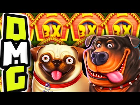 THE DOG HOUSE 🐶 SLOT MEGA BIG WIN 🤑 BONUS HUNT OPENING OMG MASSIVE PROFIT‼️