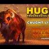 Buffalo Stampede Slot **HUGE PROGRESSIVE WIN** – Slot Machine Bonus