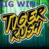 Tiger Rush BIG WIN – NEW SLOT – Casino Win from LIVE Stream