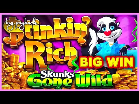 HUGE WIN! Stinkin’ Rich Skunks Gone Wild Slot – ALL FEATURES, AWESOME!!